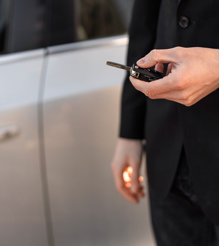dedalo parking Servizio car valet parcheggio custodito Malpensa